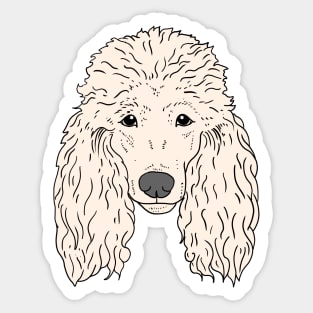 Poodle Dog Face Hand drawn white fur Sticker